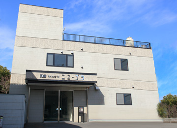 Head Office / Main Factory